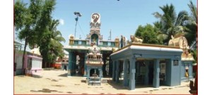 மேல் படப்பை